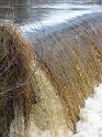 2008_12_12_Horseshoe_Falls_Shannock_003