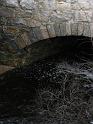 2008_12_12_Horseshoe_Falls_Shannock_024