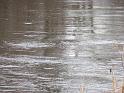 2008_12_12_Horseshoe_Falls_Shannock_030
