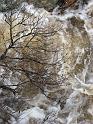 2008_12_12_Horseshoe_Falls_Shannock_031