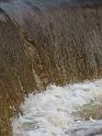 2008_12_12_Horseshoe_Falls_Shannock_033
