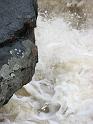 2008_12_12_Horseshoe_Falls_Shannock_046